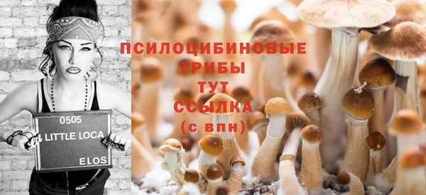 дживик Алзамай